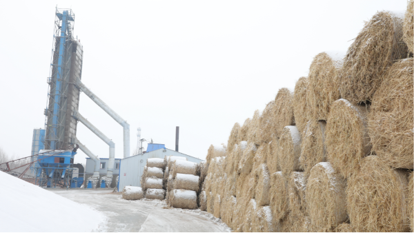 煤炭價(jià)格高，烘糧利潤低，吉林大安市500噸糧食烘干塔改用秸稈大包直燃鍋爐，每天省3萬