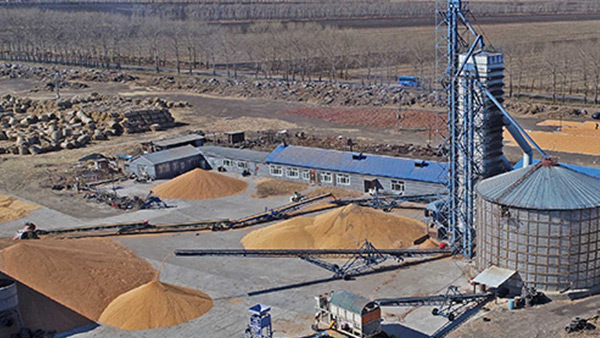 糧食烘干合作社如何做到年節(jié)省90萬(wàn)元？利民萬(wàn)佳鍋爐為您解析